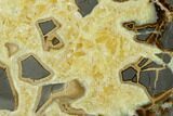 Calcite Filled Septarian Bookends - Utah #149922-1
